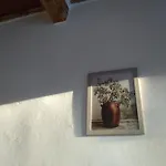 Lotte's Privat bolig Livorno