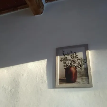 Lotte's Homestay Livorno